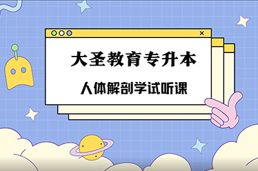 人体解剖学试听课